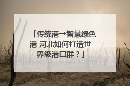 传统港→智慧绿色港 河北如何打造世界级港口群？