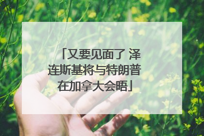 又要见面了 泽连斯基将与特朗普在加拿大会晤