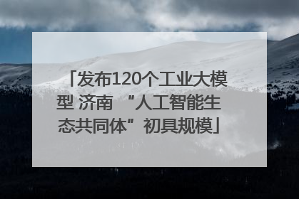 发布120个工业大模型 济南 “人工智能生态共同体”初具规模