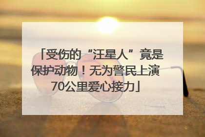 受伤的“汪星人”竟是保护动物！无为警民上演70公里爱心接力