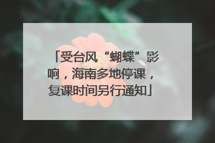 受台风“蝴蝶”影响，海南多地停课，复课时间另行通知