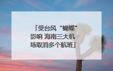 受台风“蝴蝶”影响 海南三大机场取消多个航班