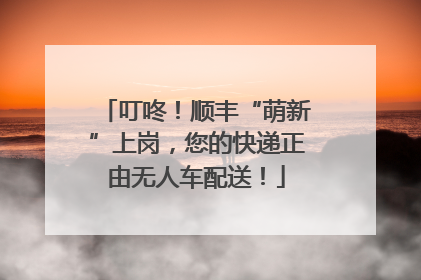 叮咚！顺丰“萌新”上岗，您的快递正由无人车配送！