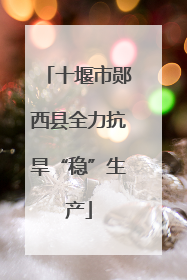 十堰市郧西县全力抗旱“稳”生产