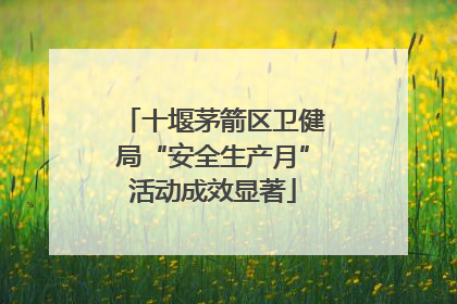十堰茅箭区卫健局“安全生产月”活动成效显著