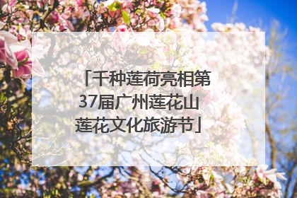 千种莲荷亮相第37届广州莲花山莲花文化旅游节