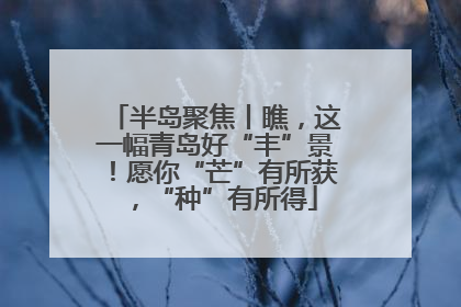 半岛聚焦丨瞧，这一幅青岛好“丰”景！愿你“芒”有所获，“种”有所得