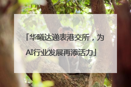 华曦达递表港交所，为AI行业发展再添活力