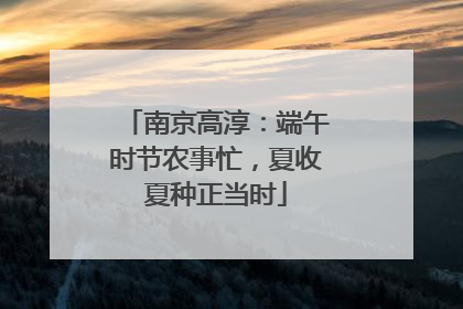 南京高淳：端午时节农事忙，夏收夏种正当时