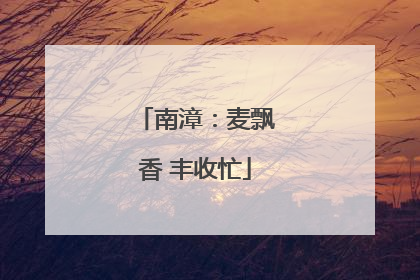 南漳：麦飘香 丰收忙