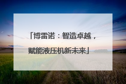 博雷诺：智造卓越，赋能液压机新未来