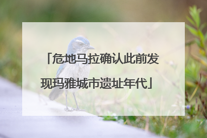 危地马拉确认此前发现玛雅城市遗址年代