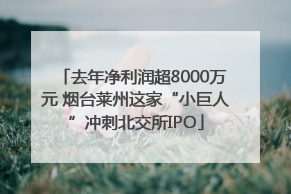 去年净利润超8000万元 烟台莱州这家“小巨人”冲刺北交所IPO