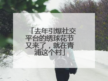 去年引爆社交平台的绣球花节又来了，就在青浦这个村