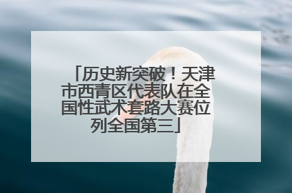 历史新突破！天津市西青区代表队在全国性武术套路大赛位列全国第三