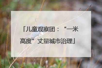 儿童观察团：“一米高度”丈量城市治理