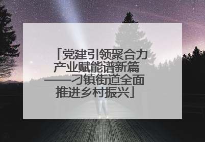 党建引领聚合力 产业赋能谱新篇——刁镇街道全面推进乡村振兴
