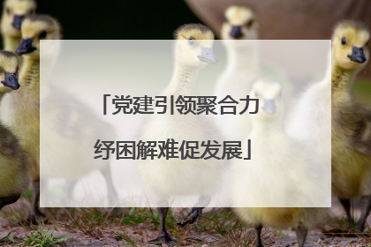 党建引领聚合力 纾困解难促发展