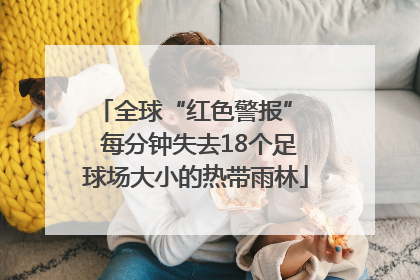 全球“红色警报”  每分钟失去18个足球场大小的热带雨林
