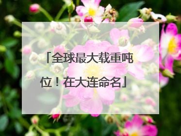 全球最大载重吨位！在大连命名