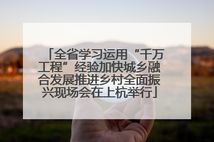 全省学习运用“千万工程”经验加快城乡融合发展推进乡村全面振兴现场会在上杭举行