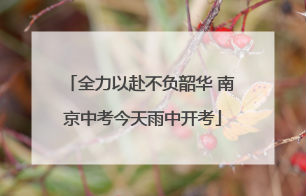 全力以赴不负韶华 南京中考今天雨中开考