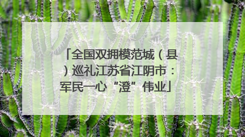 全国双拥模范城（县）巡礼江苏省江阴市：军民一心“澄”伟业