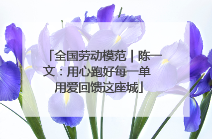 全国劳动模范｜陈一文：用心跑好每一单 用爱回馈这座城
