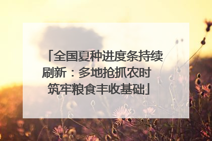 全国夏种进度条持续刷新：多地抢抓农时 筑牢粮食丰收基础