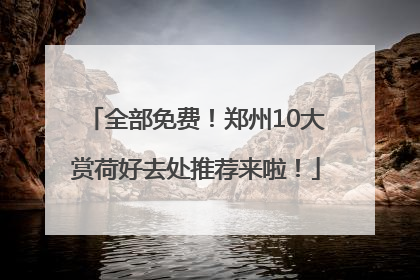 全部免费！郑州10大赏荷好去处推荐来啦！