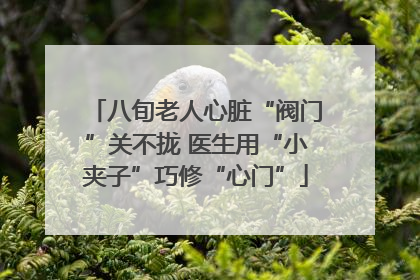 八旬老人心脏“阀门”关不拢 医生用“小夹子”巧修“心门”