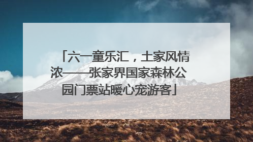 六一童乐汇，土家风情浓——张家界国家森林公园门票站暖心宠游客