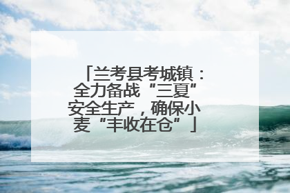 兰考县考城镇：全力备战“三夏”安全生产，确保小麦“丰收在仓”