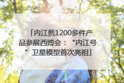 内江携1200多件产品参展西博会：“内江号”卫星模型首次亮相