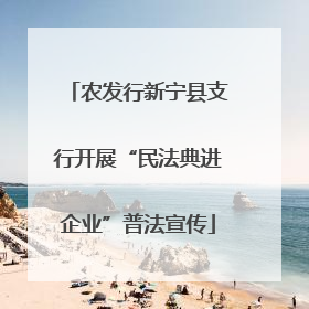 农发行新宁县支行开展“民法典进企业”普法宣传