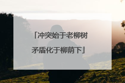 冲突始于老柳树 矛盾化于柳荫下