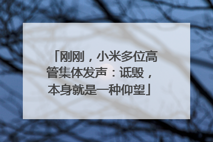 刚刚，小米多位高管集体发声：诋毁，本身就是一种仰望