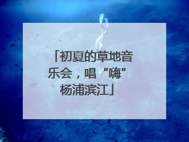 初夏的草地音乐会，唱“嗨”杨浦滨江