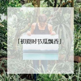 初夏时节瓜飘香