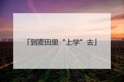 到麦田里“上学”去