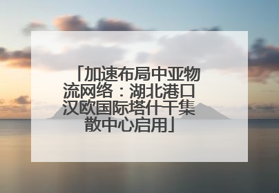 加速布局中亚物流网络：湖北港口汉欧国际塔什干集散中心启用