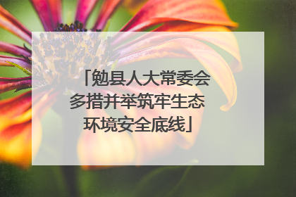 勉县人大常委会多措并举筑牢生态环境安全底线