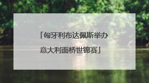 匈牙利布达佩斯举办意大利面桥世锦赛