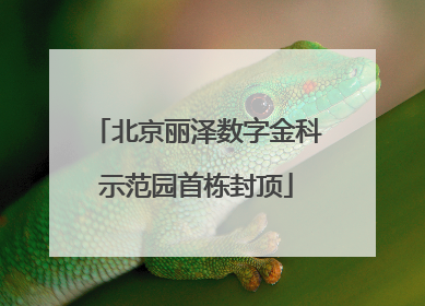 北京丽泽数字金科示范园首栋封顶
