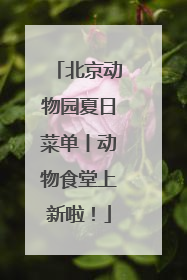 北京动物园夏日菜单丨动物食堂上新啦！
