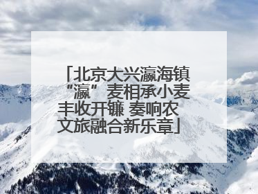 北京大兴瀛海镇“瀛”麦相承小麦丰收开镰 奏响农文旅融合新乐章