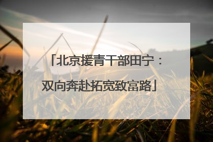 北京援青干部田宁：双向奔赴拓宽致富路