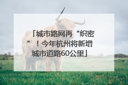 城市路网再“织密”！今年杭州将新增城市道路60公里