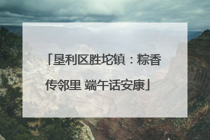 垦利区胜坨镇：粽香传邻里 端午话安康