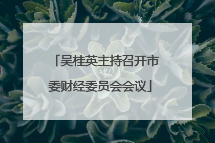 吴桂英主持召开市委财经委员会会议